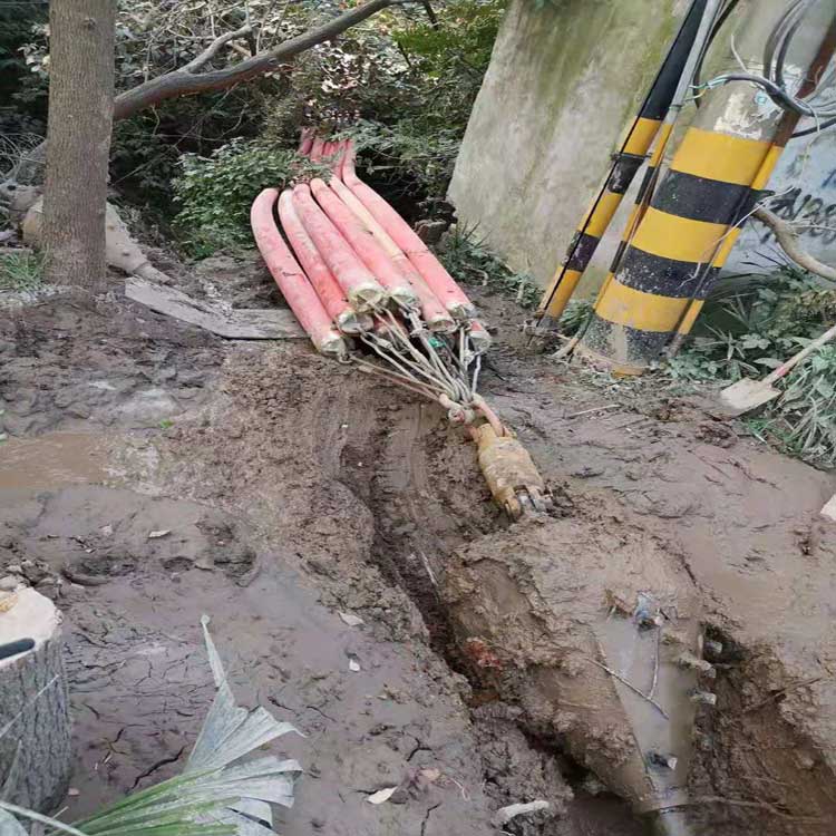 定安武汉电动拖拉管